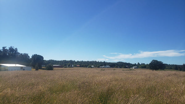 Parcela Agrícola 5.000 m² en Venta – Calbuco